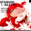 CD Audiobook SWEDISH Spänning i Juletid Arne Dahl Sweden NEW
